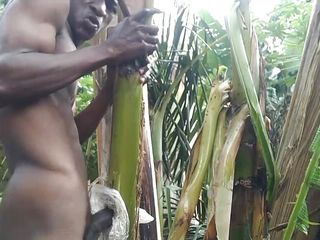 Man All Alone In The Forest And Make The Plantain Tree Is Wife And Fuck On It free video